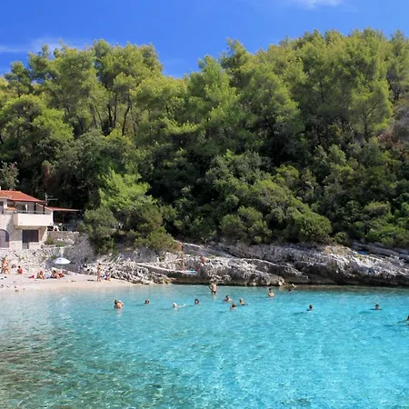 With A Parking Space Zavalatica, Korcula - 4420